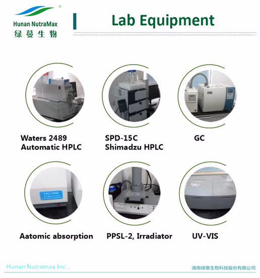 Estratto di frutta Polvere di succo di mirtillo Concentrato di succo di mirtillo